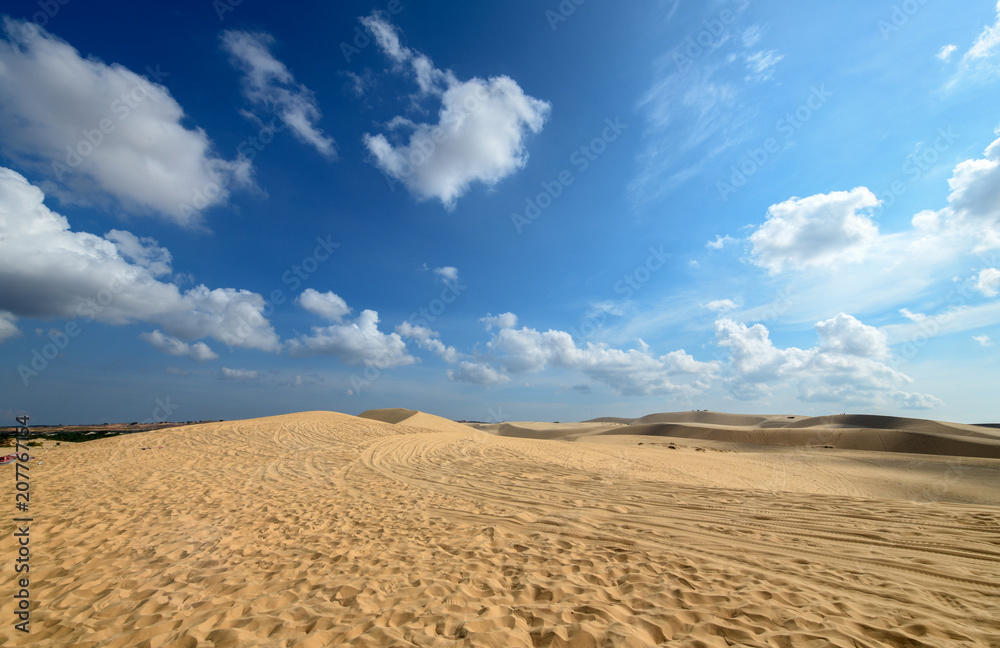 Landscape of White Sand Dunes desert and oasis Landscape of White Sand Dunes desert and oasis