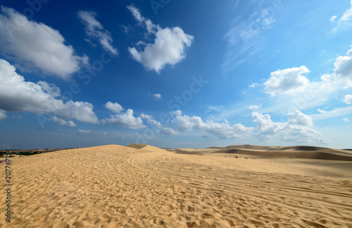Landscape of White Sand Dunes desert and oasis