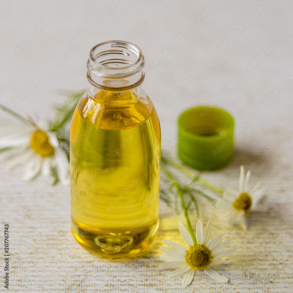 Natural cosmetic. Essential oil in a bottle with fresh chamomile flowers on a light background. Natural cosmetic. Essential oil in a bottle with fresh chamomile flowers on a light background.