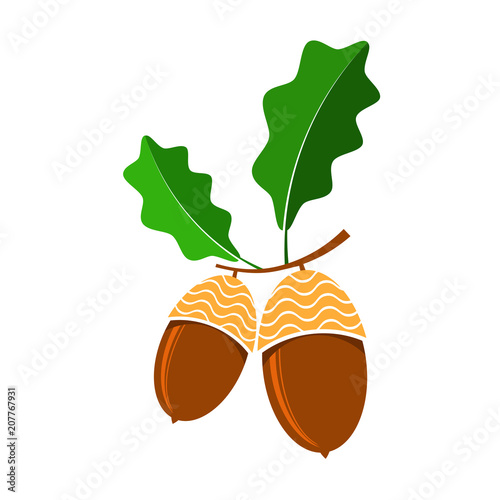 Ripe Acorn Icon. Autumn Oak Nut and Seed Logo