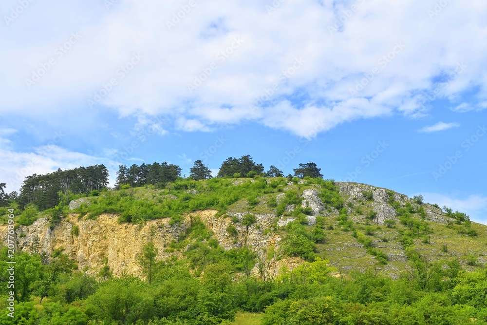 The Pavlov Hills, in Czech also Palava.  White limestone rocks,  flowers in rock. South Moravia, the Czech Republic, Europe
