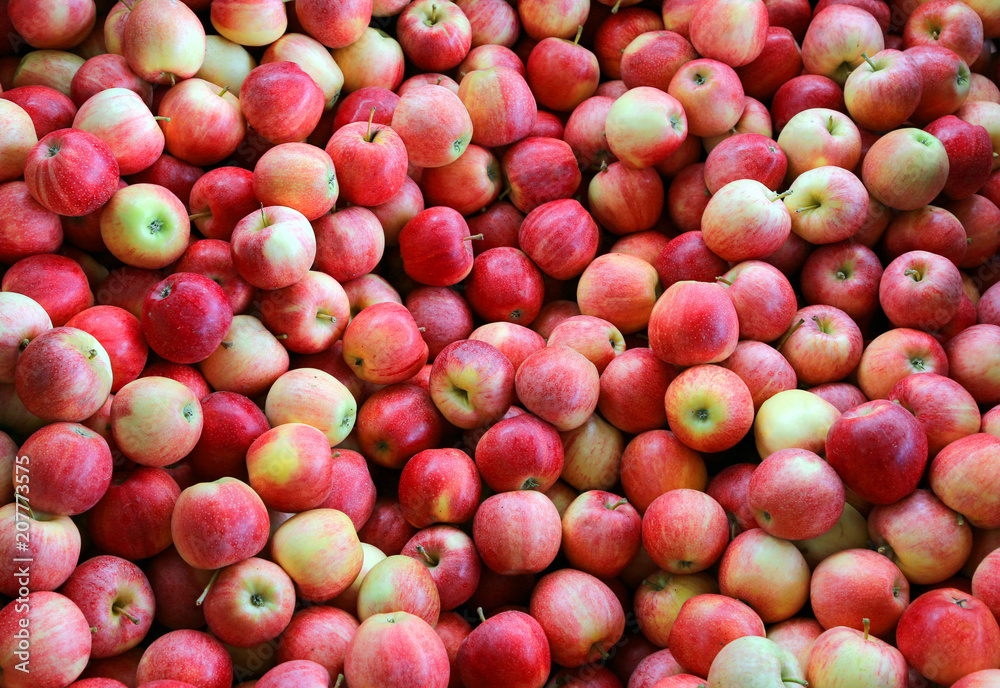 background of red ripe apples background of red ripe apples
