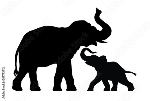 silhouette of elephant with baby elephant photo