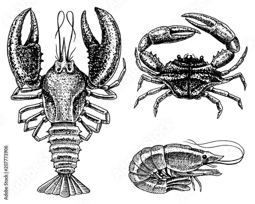 LOBSTER Vinyl Decal Sticker Claws Crayfish Crab Tail Rock Ocean Sea Creature 