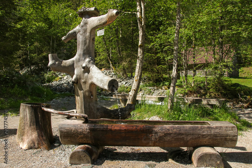 Eine Trnke am Wanderweg zum Duisitzkarsee, Steiermark, Start Eschachalm photo