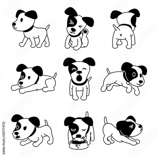 Set of vector cartoon character jack russell terrier dog poses for design.