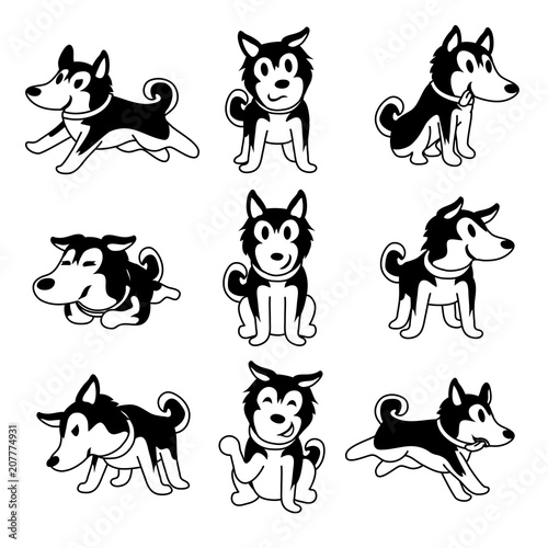 Vector cartoon character siberian husky dog poses set for design.
