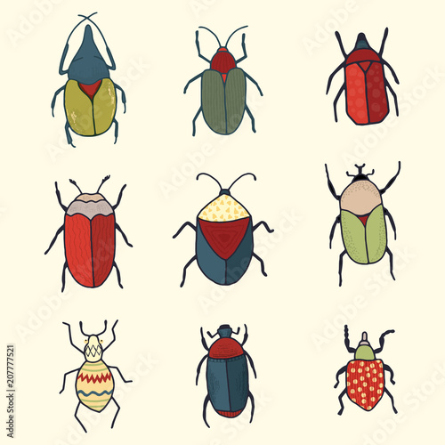 Hand drawn vector set of whimsical cute bugs