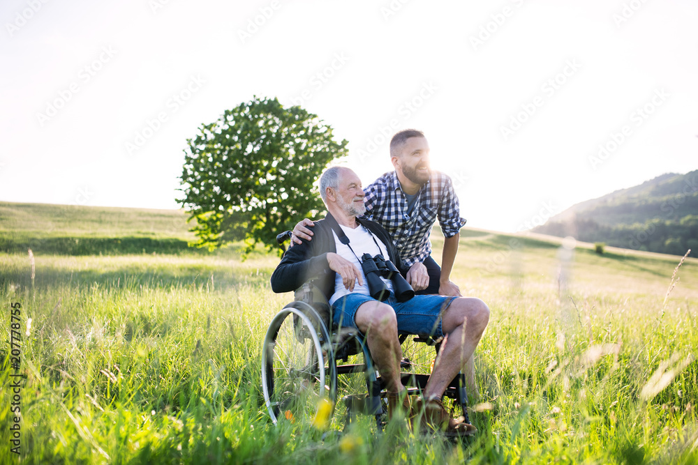 An adult hipster son with senior father in wheelchair on a walk in nature at sunset.