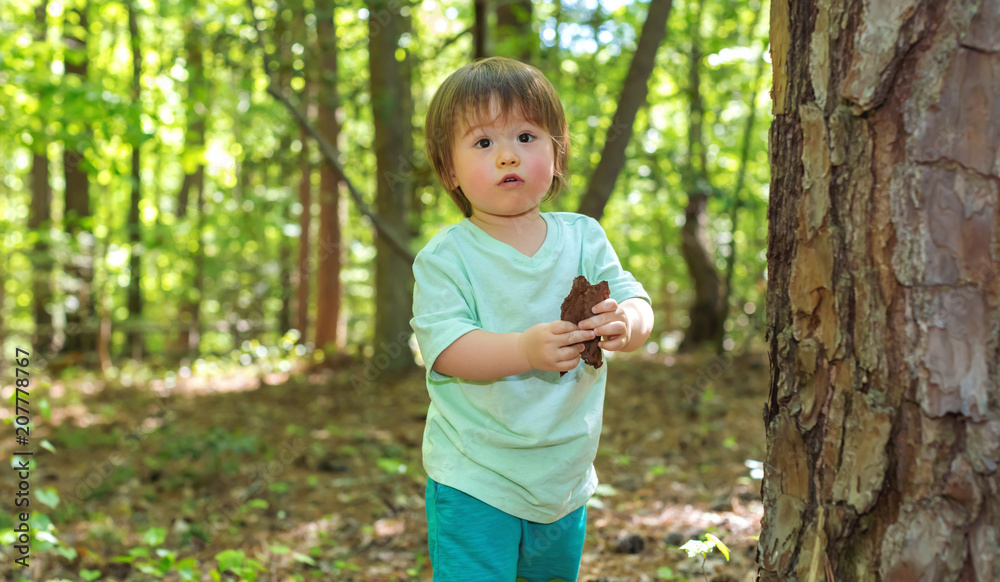 Young toddler boy playing in the forest Young toddler boy playing in the forest