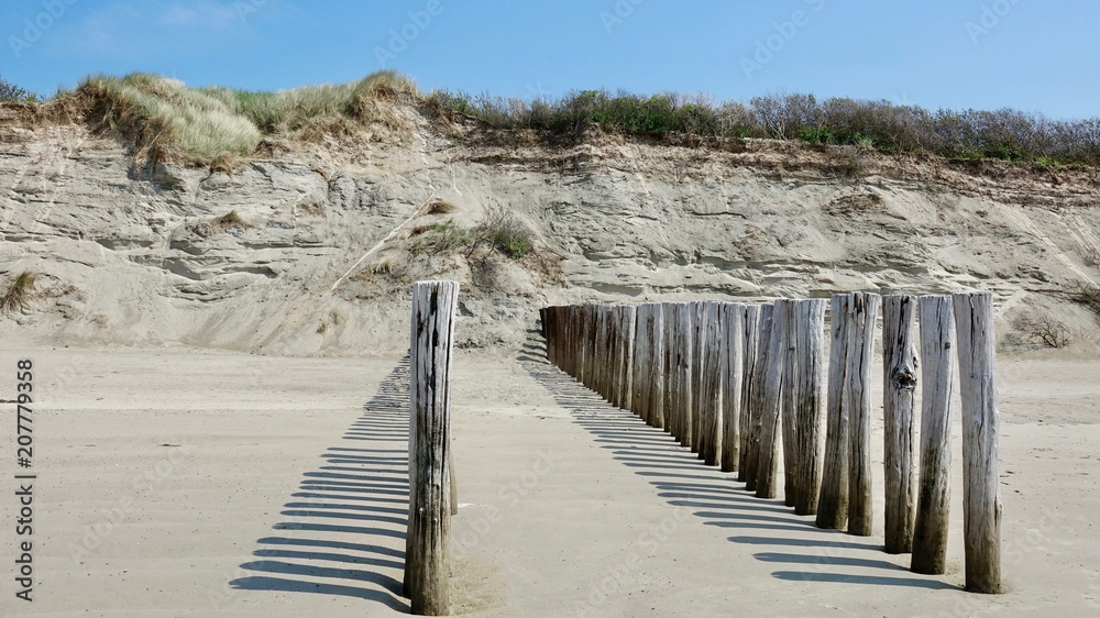 Fototapeta premium Wellenbrecher aus verwitterten Holzbstämmen an der Nordsee