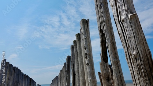 Wellenbrecher aus verwitterten Holzbst  mmen an der Nordsee