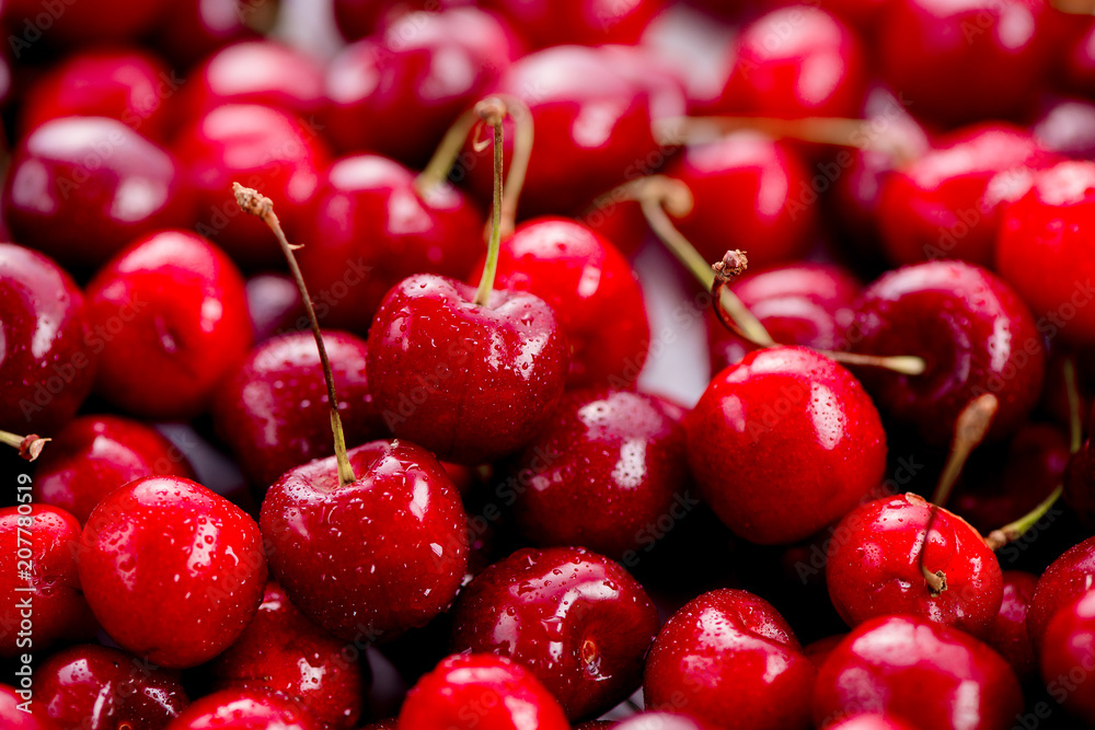 Cherries with water drops header. Macro berries shot with copy space Cherries with water drops header. Macro berries shot with copy space