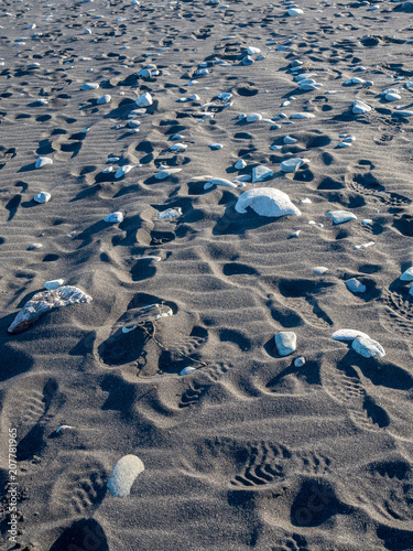 Black sand beach in Iceland in winter season