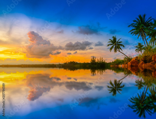 Sunset at the beach with coconut palm tree on blue sky background.