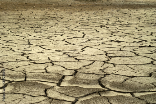 Billede på lærred landscape - desert with pattern of different-sized cracks on dry clay