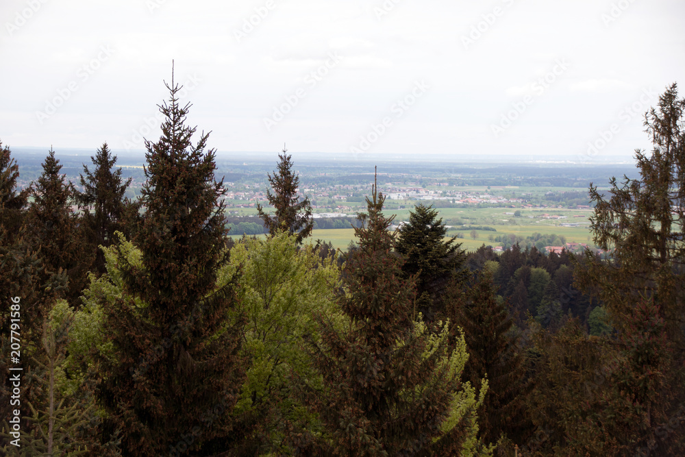 Obraz premium Taubenberg Turm Bayern