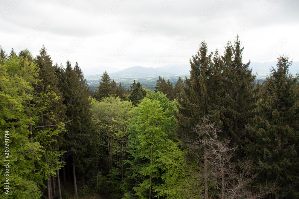 Taubenberg Turm Bayern Taubenberg Turm Bayern