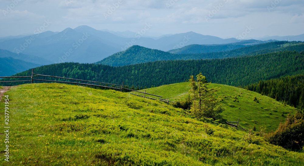 Carpathians green mountains in Ukraine