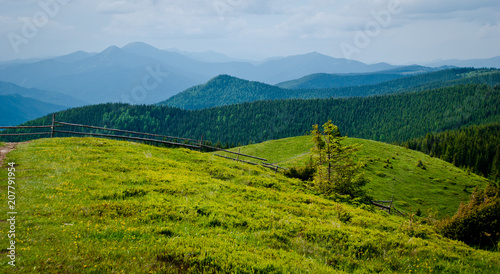Photography Carpathians green mountains in Ukraine
