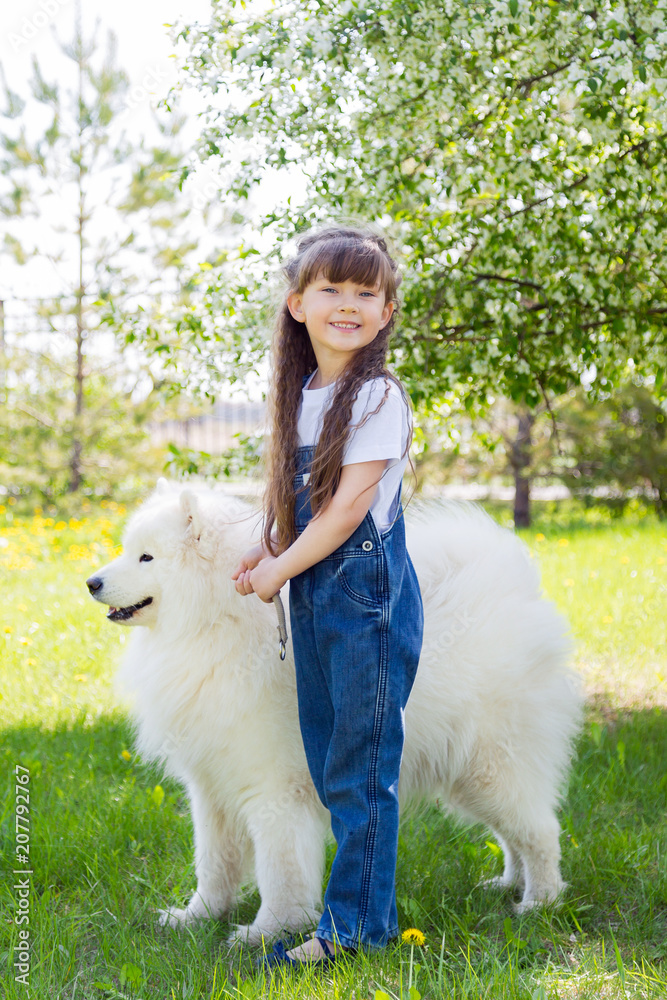 Little girl with a big white dog in the park. A beautiful 5 year old girl in jeans hugs her favorite dog during a summer walk. Little girl with a big white dog in the park. A beautiful 5 year old girl in jeans hugs her favorite dog during a summer walk.