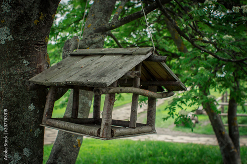 Wooden feeding trough for birds on a tree. © Lyubov