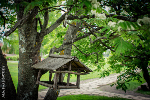  Wooden feeding trough for birds on a tree. © Lyubov
