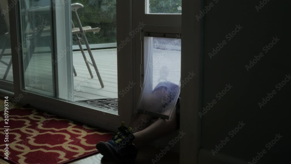 Small child goes through a little door made for pet animals. Small child goes through a little door made for pet animals.