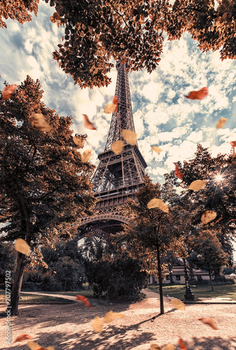 Canvas Print Autumn in Paris near Eiffel tower viewed from the Champ de Mars