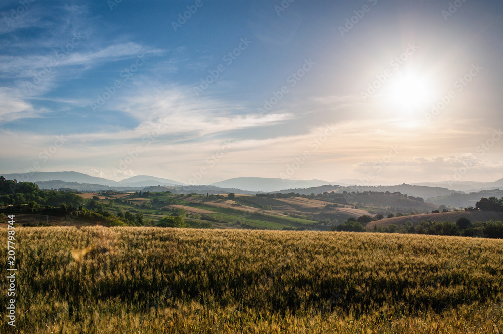 Italia, giugno 2018 Pesaro - vista delle colline nei pressi di Orciano in provincia di Pesaro nella regione Marche. Si notano i campi di grano biondi e quasi maturi