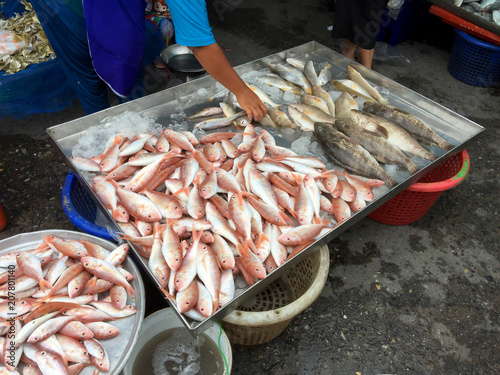 Red fish, Grouper, markets and many new and fresh to many dishes and good for health