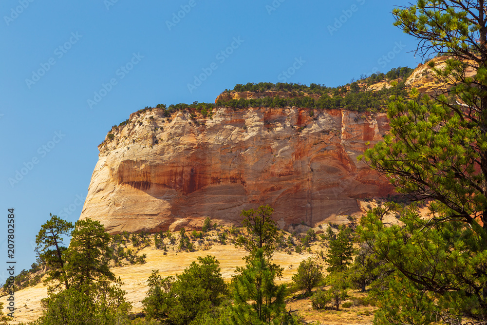 Nature landscape of Zion National Park, USA