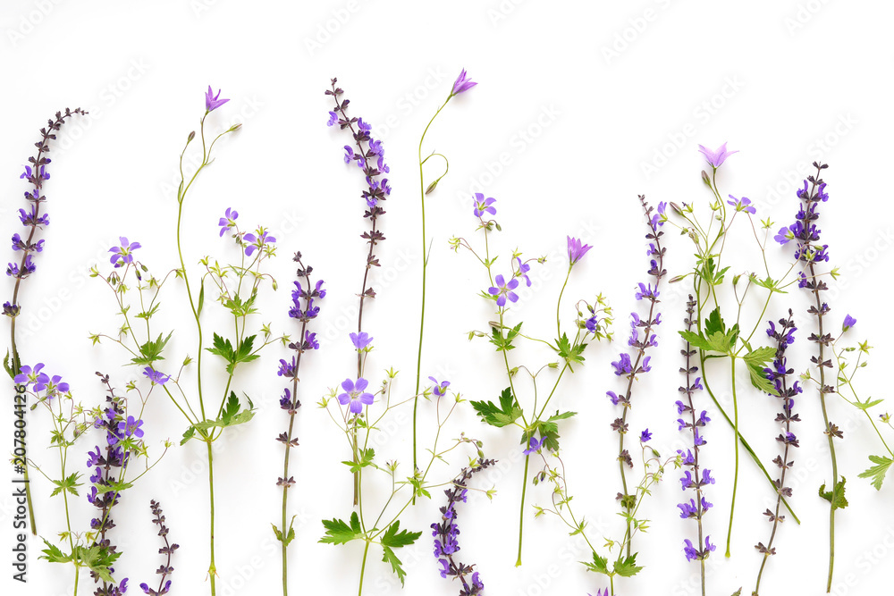 Naklejka premium Creative flat layout of wildflowers, composition top view.