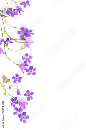 Creative flat layout of wildflowers, composition top view.