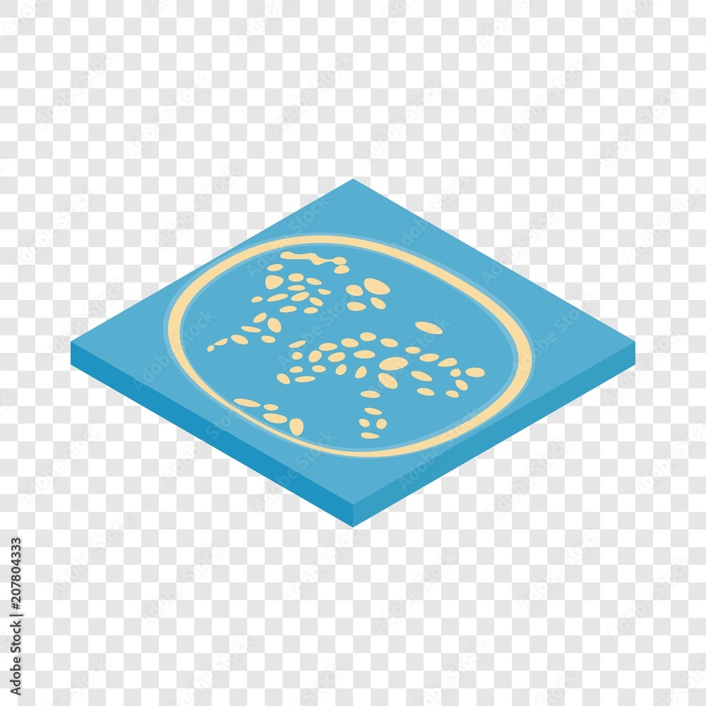 Artificial islands in the UAE isometric icon 3d on a transparent background vector illustration Artificial islands in the UAE isometric icon 3d on a transparent background vector illustration