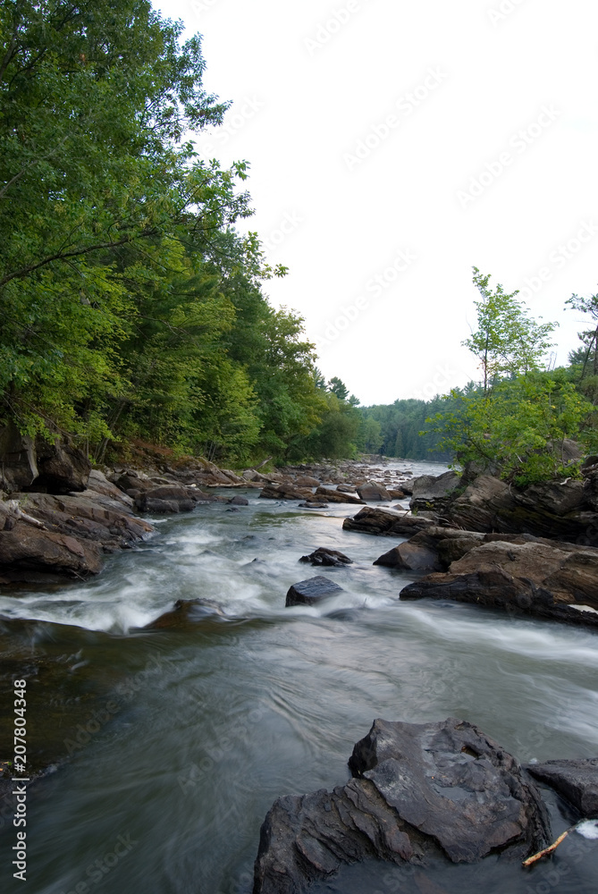Beautiful River with Rapids in the Forest Beautiful River with Rapids in the Forest