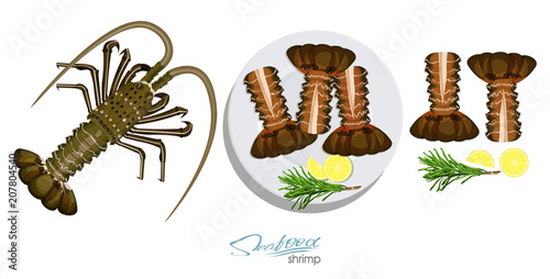 Meat spiny lobster with rosemary and lemon on the plate.Vector illustrationin cartoon style. Spiny lobster, lemon, rosemary separately on a white background. Vector illustration