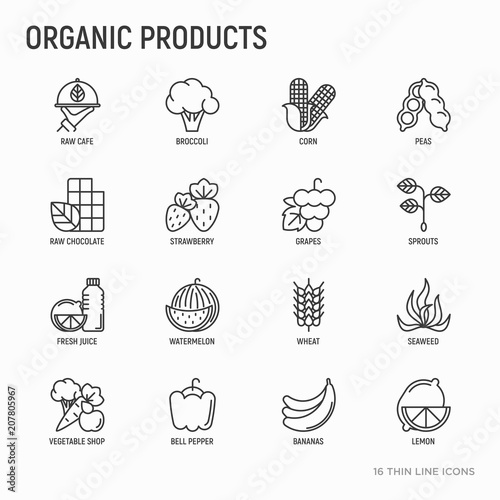 Organic products thin line icons set: corn, peas, raw cafe, broccoli, grapes, sprouts, seaweed, watermelon, bananas, fresh juice. strawberry. Modern vector illustration for vegetable shop.