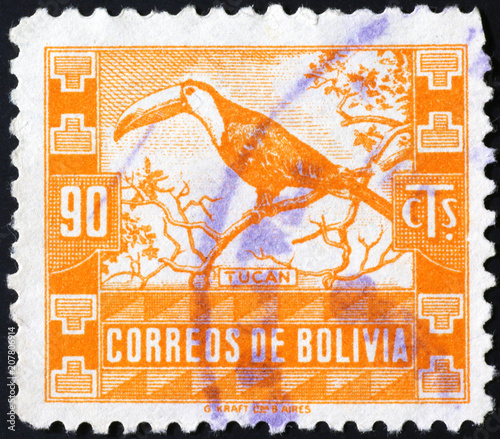 Toucan on old bolivian postage stamp