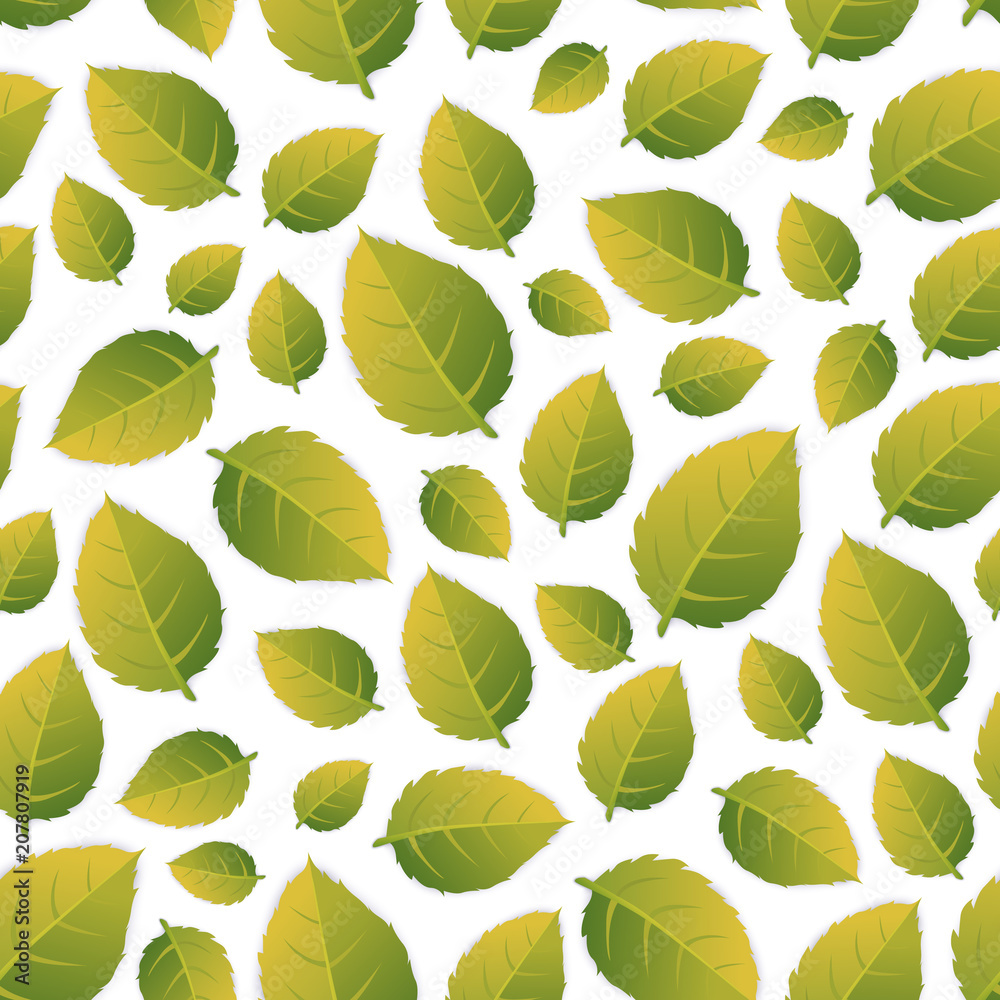 Seamless pattern with green leaves. The tea leaves are distributed on the surface.