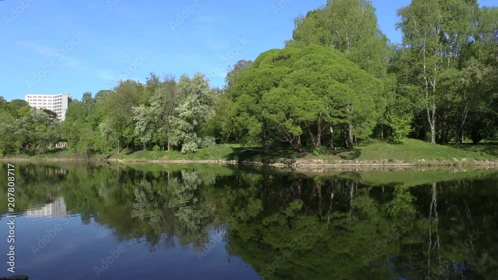 Very beautiful fabulous view. Brightly green trees are reflected in a mirror like a lake. Loopable image. Perfect background. Nobody here. Bright blue clear sky. Peace and quiet. Loop. Maybe anywhere Very beautiful fabulous view. Brightly green trees are reflected in a mirror like a lake. Loopable image. Perfect background. Nobody here. Bright blue clear sky. Peace and quiet. Loop. Maybe anywhere