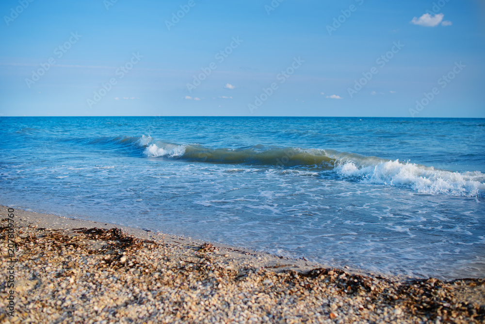 a wild beach and a pigeon sea water on a lovely sunny day