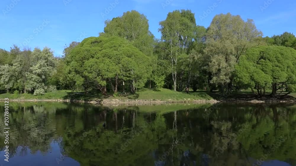Very beautiful fabulous view. Brightly green trees are reflected in a mirror lake. Maybe anywhere. Morning in park. Ducks are swimming in the pond. Background. Unrecognizable people run around. Very beautiful fabulous view. Brightly green trees are reflected in a mirror lake. Maybe anywhere. Morning in park. Ducks are swimming in the pond. Background. Unrecognizable people run around.