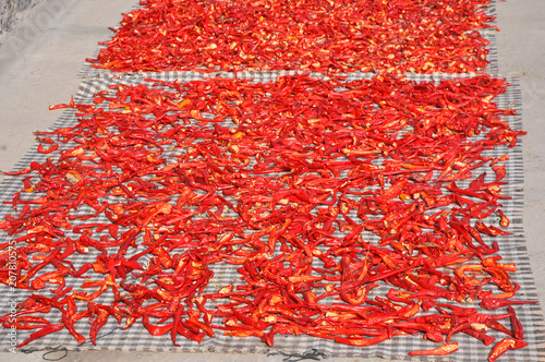 Red pepper dries in the open air