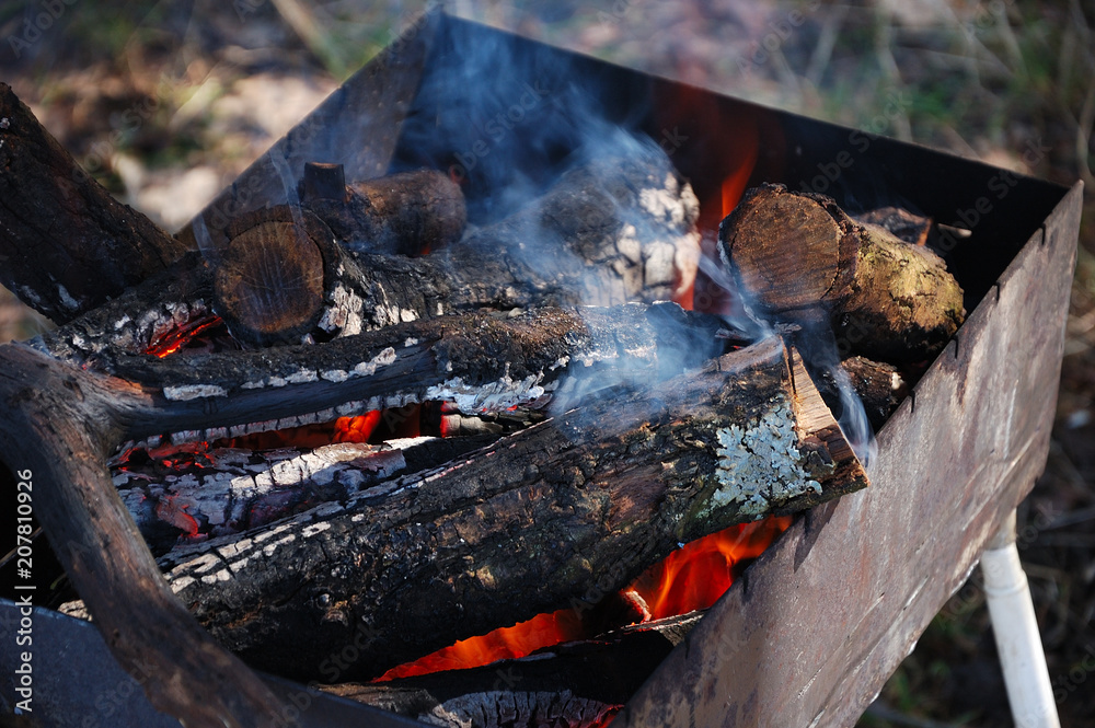 Fire burns in the grill in nature.
Fire burns in the grill in nature.