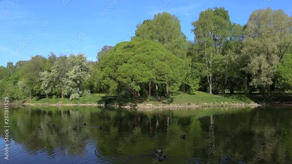 Very beautiful fabulous view. Brightly green trees are reflected in a mirror lake. Ducks are swimming in pond. Perfect background. Nobody here. Bright blue clear sky. Peace and quiet. Maybe anywhere Very beautiful fabulous view. Brightly green trees are reflected in a mirror lake. Ducks are swimming in pond. Perfect background. Nobody here. Bright blue clear sky. Peace and quiet. Maybe anywhere
