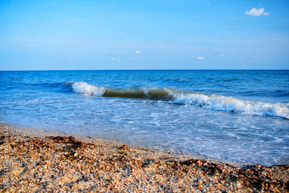 a wild beach and a pigeon sea water on a lovely sunny day a wild beach and a pigeon sea water on a lovely sunny day
