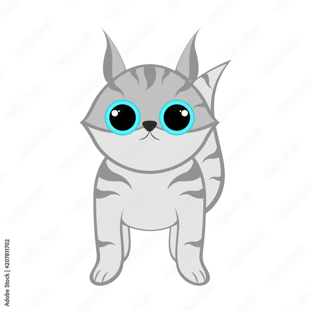 Obraz premium Isolated cute cat