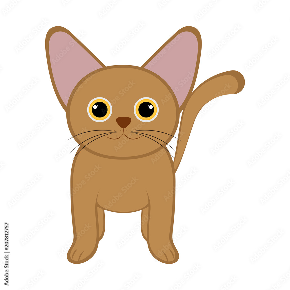 Obraz premium Isolated cute cat