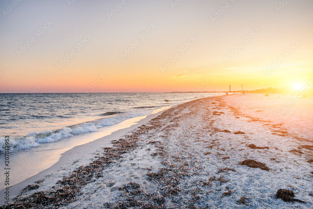 a wild beach and a pigeon sea water on a lovely sunny day a wild beach and a pigeon sea water on a lovely sunny day